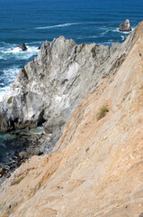 bodega head rocky coast