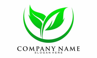 Leaves illustration elegant vector logo