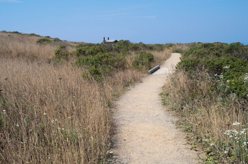 coastal prairie trail at bodega head