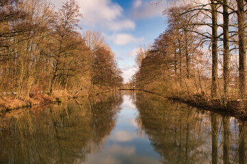 Fototapeta na wymiar calm river lined with trees