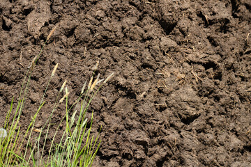 Manure in the countryside.
