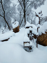 The Goblin in the snow