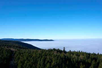 Fototapeta na wymiar top view landscape black forest in winter with fog and sunshine from the hohlohturm, kaltenbronn