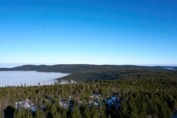 top view landscape black forest in winter with fog and sunshine from the hohlohturm, kaltenbronn