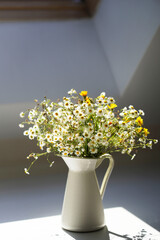 Bouquet of field camomiles in a white jug on  white surface. Fresh garden flower bouquet. Spring meadow flowers. Summertime. Easter card.