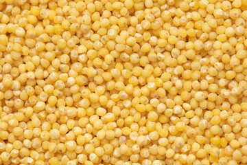 Close-up of millet groats as background.