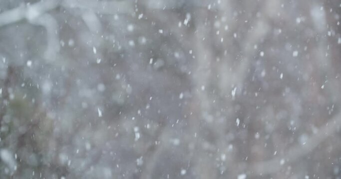 White snow is falling in the yard