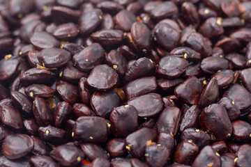 Seeds of Tamarind can be roasted and eaten or to be cultivated as seedlings for background.