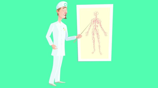 Cartoon video of a doctor who leads an explanatory lecture showing on the anatomical atlas. The video is looped and contains a transparent background alpha channel. 