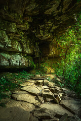 wild life photography