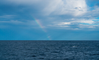 Obraz premium Rainbow