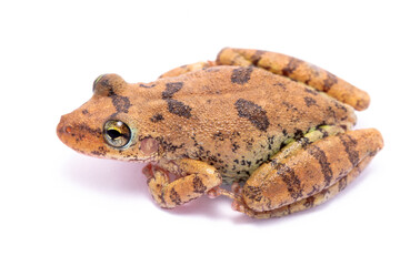 wild life photography