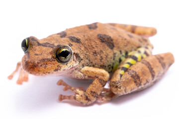 wild life photography