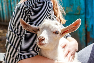 A woman on a farm hugs and strokes a small goat