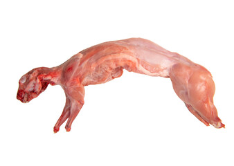 Whole raw rabbit isolated on a white background. Top view, flat lay, close up. High quality photo