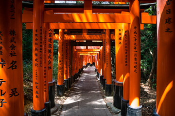 Fushimi Inari path wide