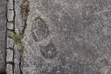 地面についた足跡