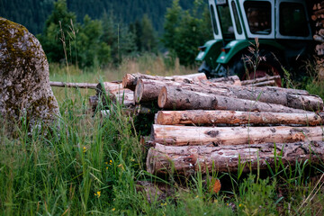 Pile of logs near tractor