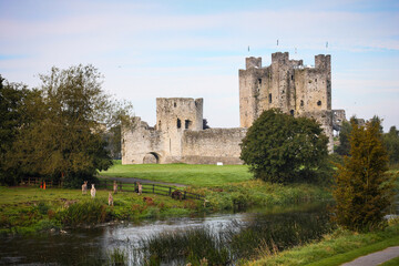 Trim Castle Manorland