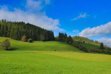 Beautiful green landscape in the German Allgäu mountains