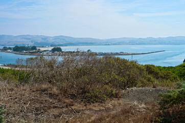 bodega bay overlook