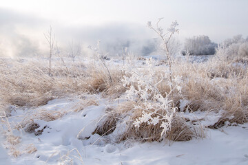 Winter landscape on a cold day with frosty grass. Climate, weather.