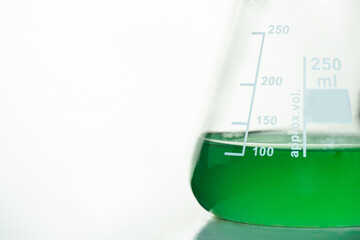 green solution in science glass flask at chemistry laboratory white background.