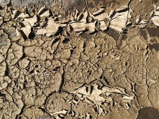 Cracks and peeling of the earth from hot weather, drought. Textured brown natural background