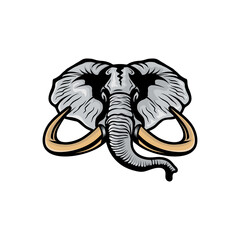 mascot logo elephant head illustration design 