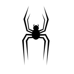 spider on a white background
