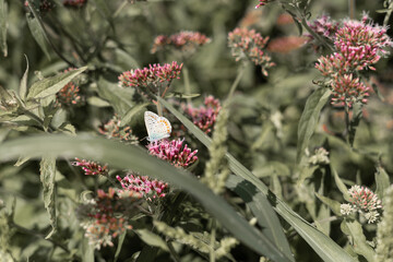 El inicio de la primavera