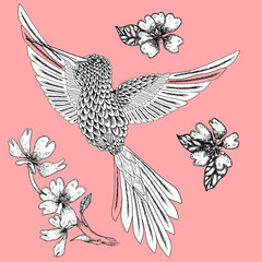 Naklejka premium Handdrawn hummingbird and flowers illustration with solid vector isolated in pink background