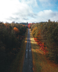 Autumn road in Dordogne / Route d'automne en Dordogne