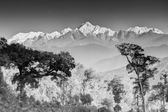 Beautiful view of trees and Silerygaon Village with Kanchenjunga mountain range at the background, morning light, at Sikkim, India. Black and white stock image.