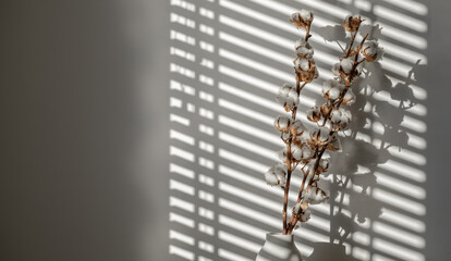 Branches of natural cotton in a white concrete vase. Christmas or New Year concept. Sunshine, hard shadow from shades. Floral, interior, nature concept.
