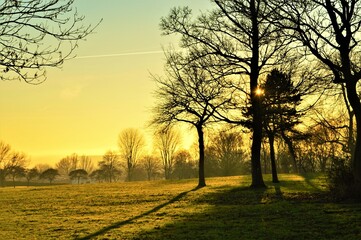 Winter sunset in the park.