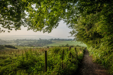 Path through hills and fields