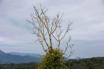 Heavy mist over Arenal Volcano, Costa Rica