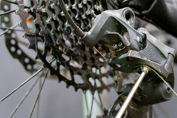 Cassette and chain of a mountain bike close-up on a black background. Professional bicycle repair in the workshop. Studio photo of a sports bike. - obrazy, fototapety, plakaty