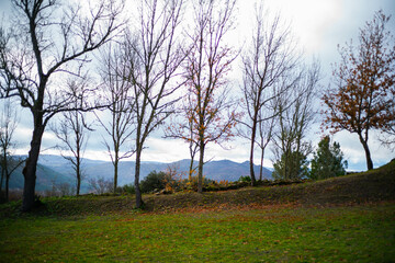 Fototapeta na wymiar Path to the Castelo de Monterrei