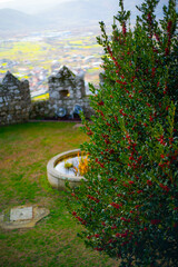 Path to the Castelo de Monterrei