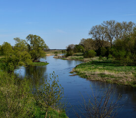 Fototapeta na wymiar Prosna river - winding banks in Chocz, Greater Poland in spring time