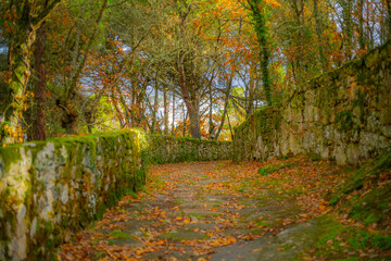 Path to the Castelo de Monterrei