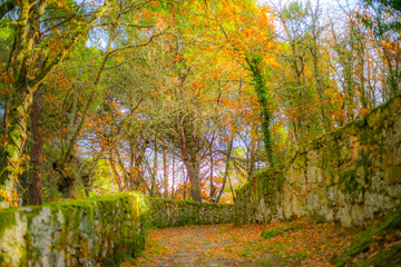 Path to the Castelo de Monterrei