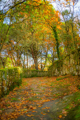Path to the Castelo de Monterrei