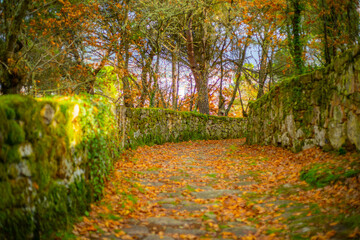 Path to the Castelo de Monterrei