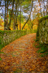 Path to the Castelo de Monterrei