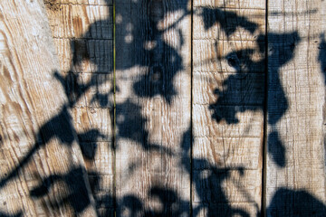Hard shadows of a deciduous tree on old wood planks.