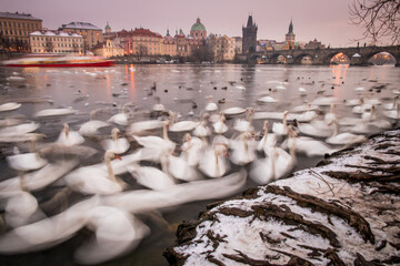 Praga © Pawel Sulatycki