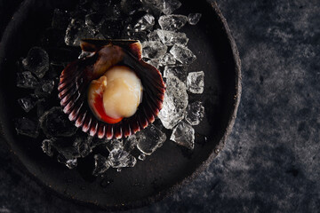 Delicious scallop served on shell against dark table